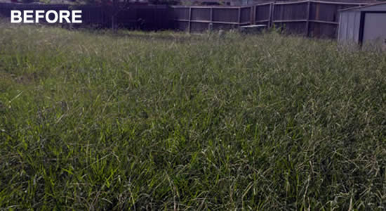 Professional Lawn Mowing in Temple Texas