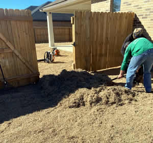 Lawn Dethatching Service Bell County TX