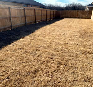 Lawn Dethatching Service Copperas Cove TX