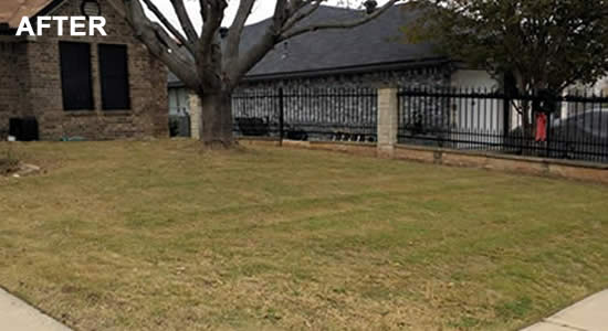 Hire a Nolanville Lawn Mowing Company in Texas