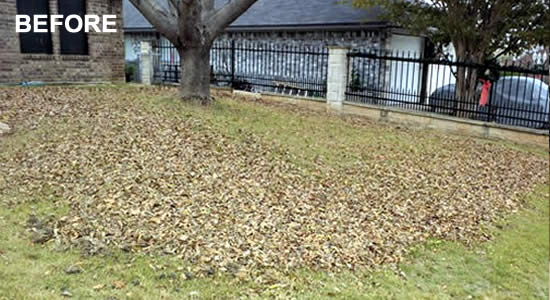 Spring and Fall Cleanup Services Texas