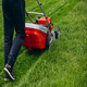 an image for a lawn 