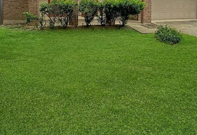 an image for a lawn 