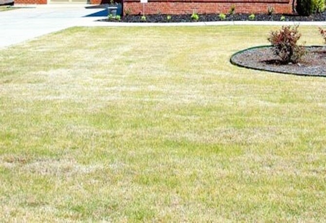 an image for a lawn 