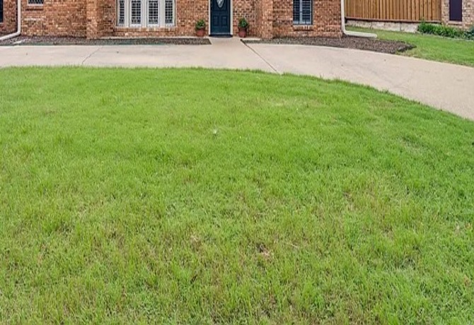 an image for a lawn 
