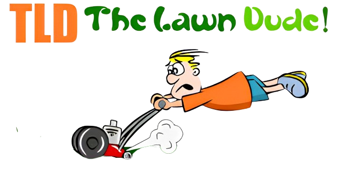 logo-the-lawn-dude-texas