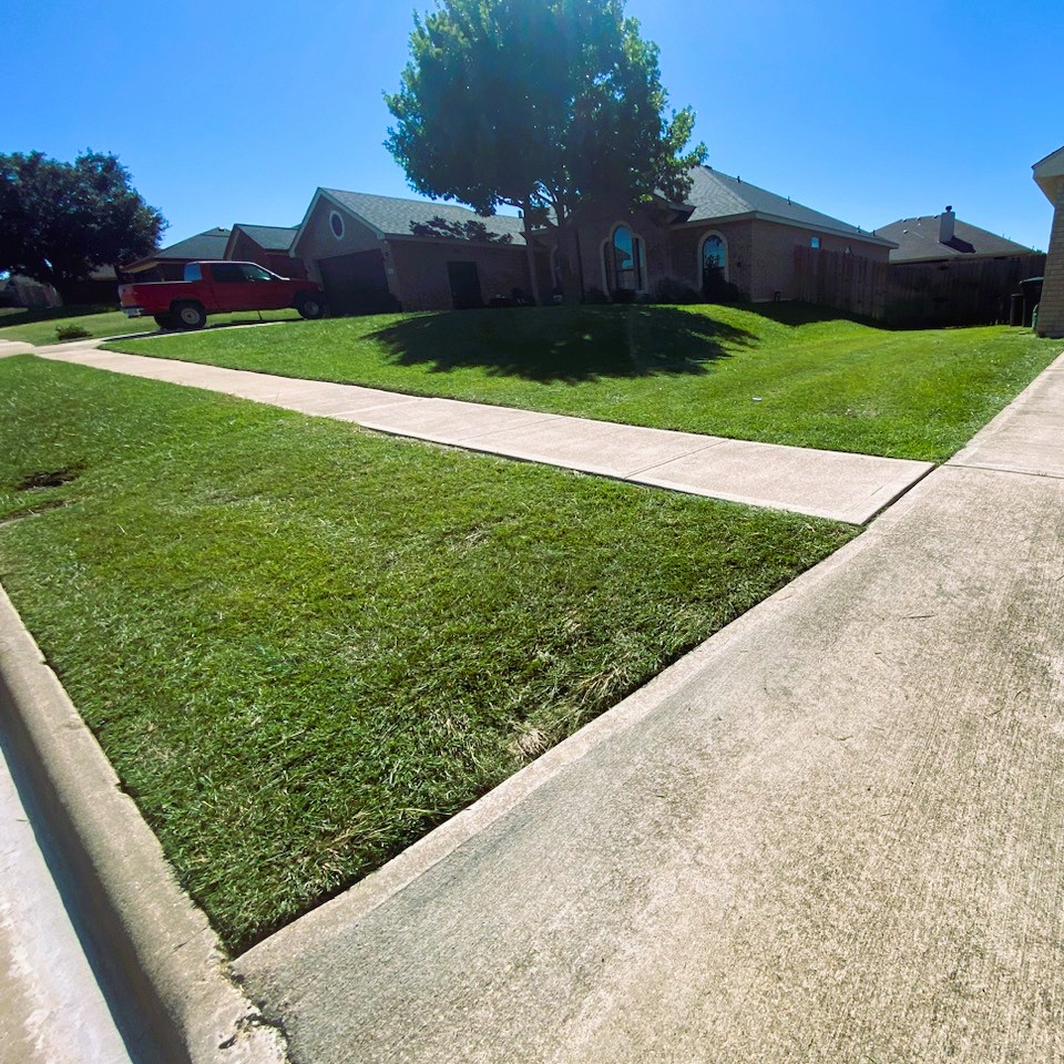 Expert Lawn Mowing in Bell County, TX