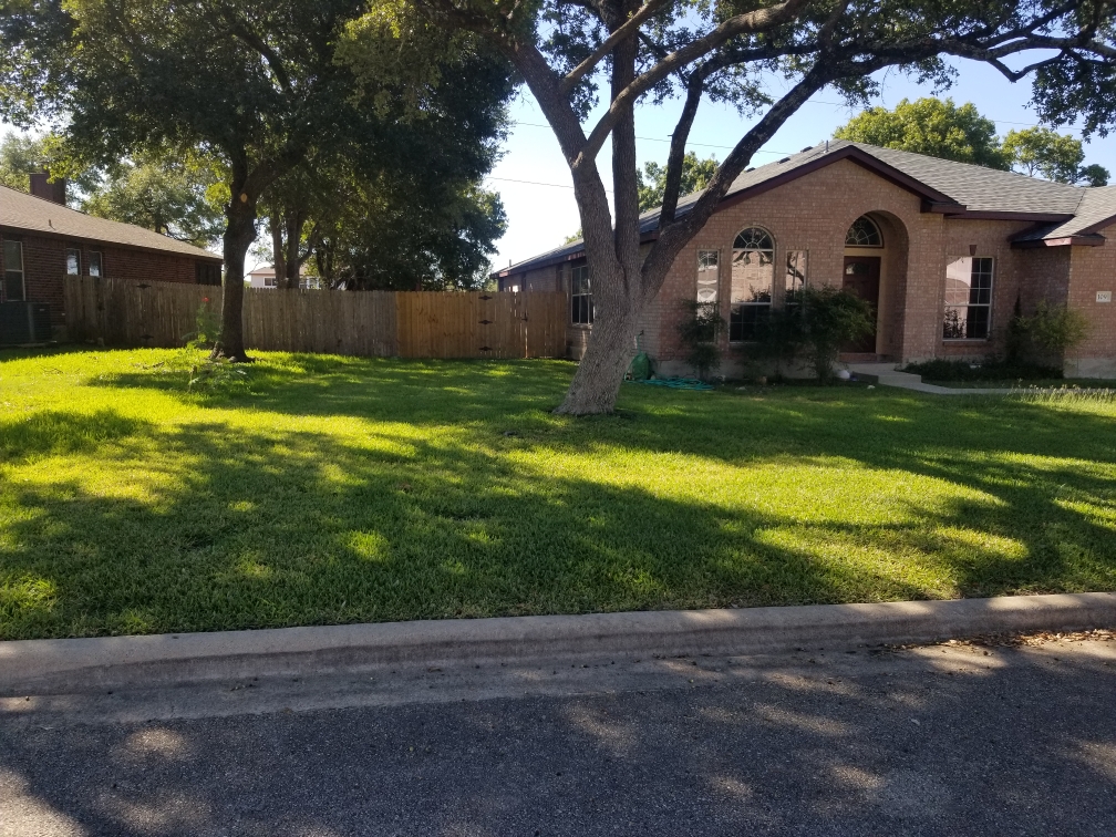 Professional Lawn Mowing Services in Bell County, TX