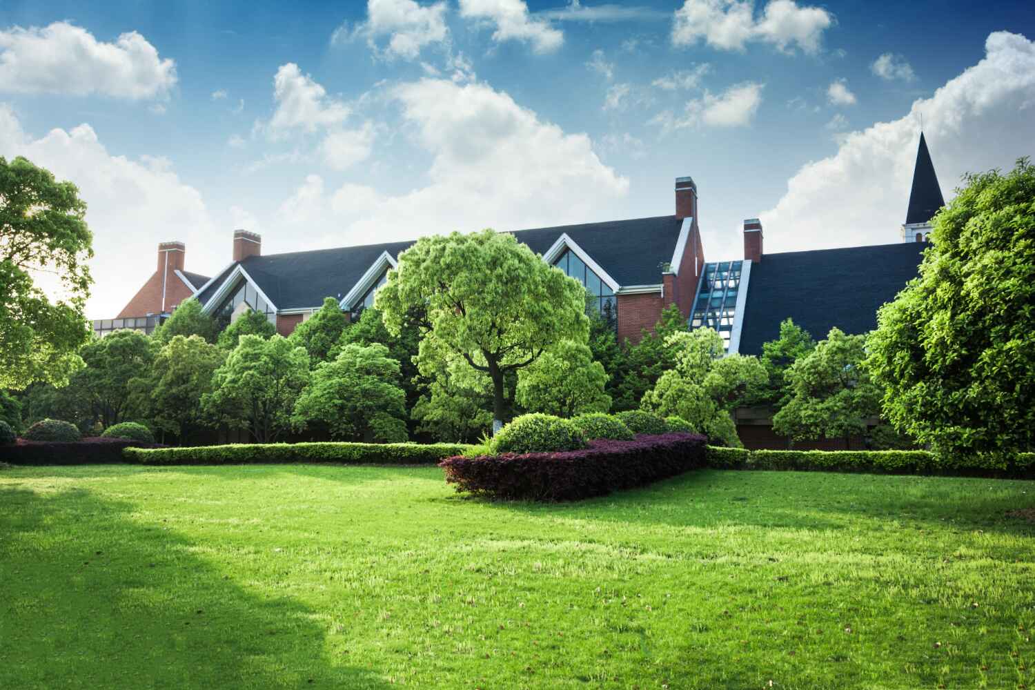 an image for a lawn 