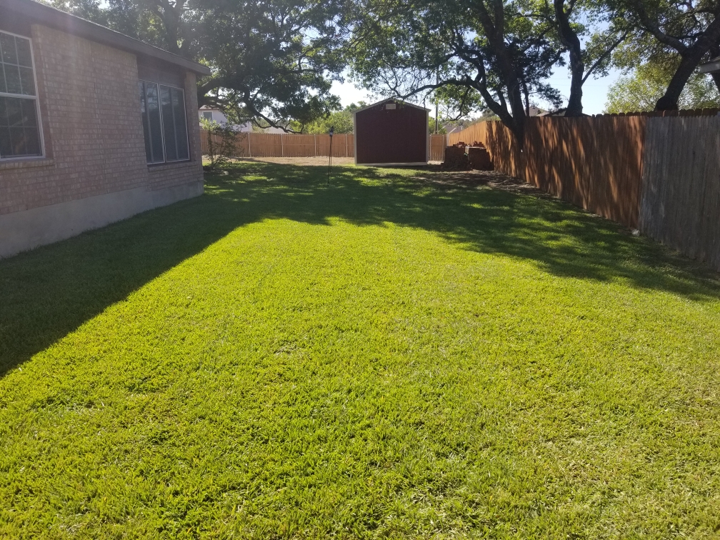 an image for a lawn 