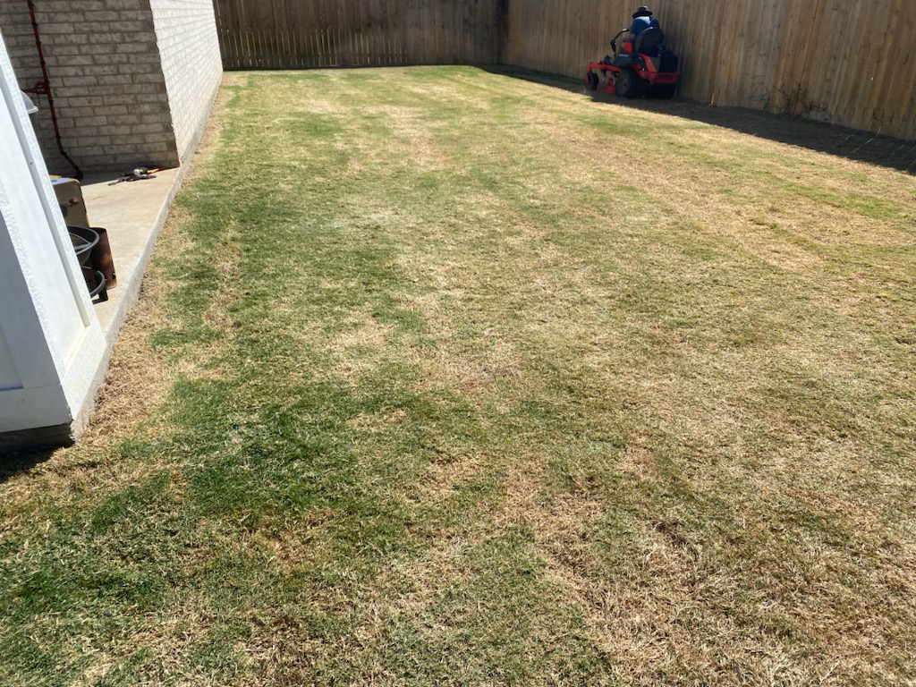an image for a lawn 
