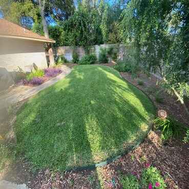 Professional Lawn Cleanup in Bell County, TX